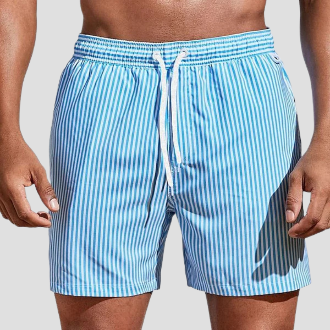 Dravien | Men’s Striped Swim Shorts