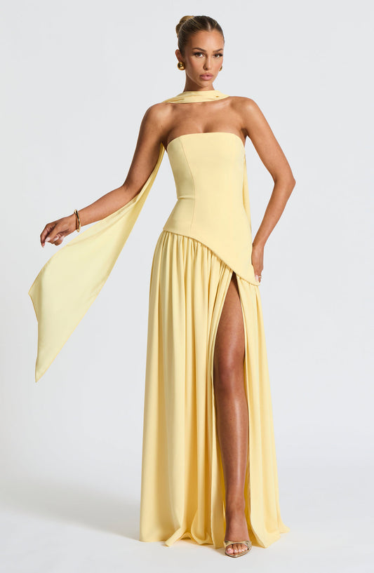 Raina | Crimson Allure Dress